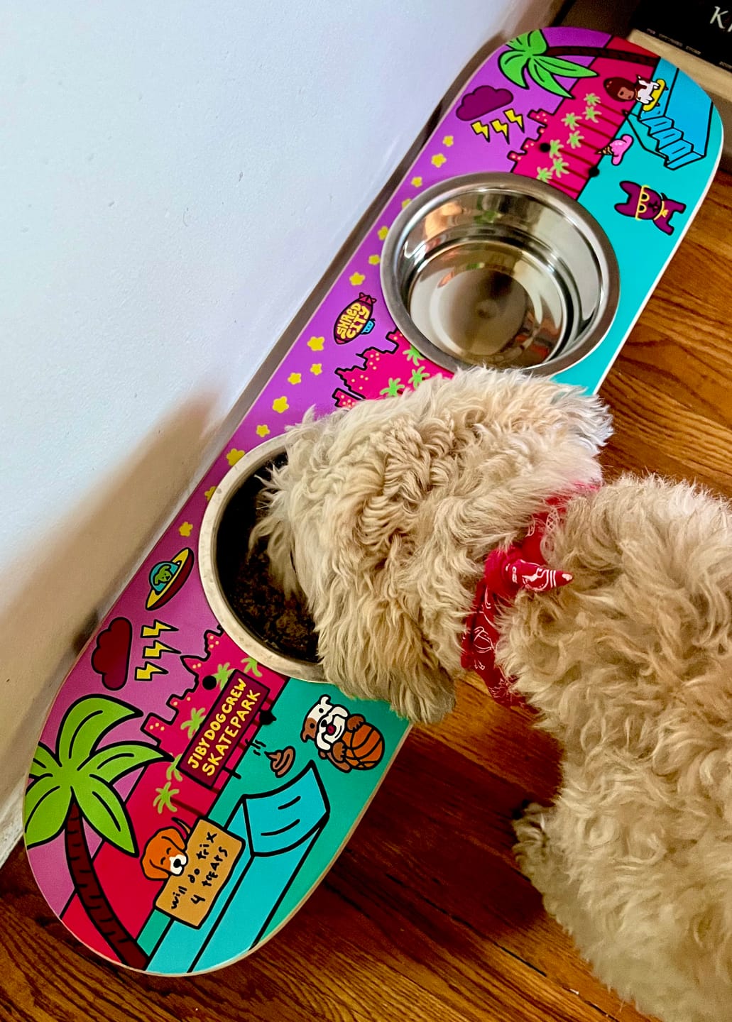 Customer photo review of Shred City Skateboard Dog Bowl