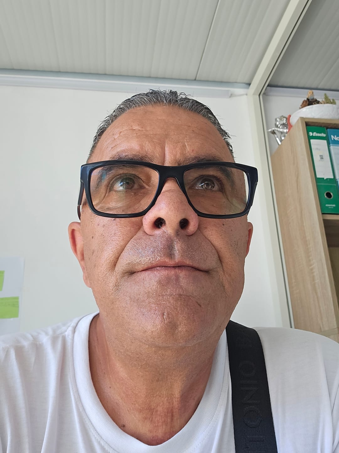 Customer photo review of ALPHI WG 1 Kg – Insetticida in granuli