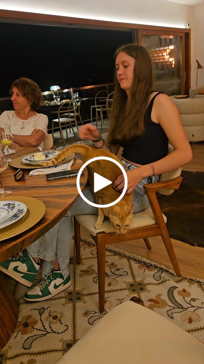 Customer video review of Furbulous Box