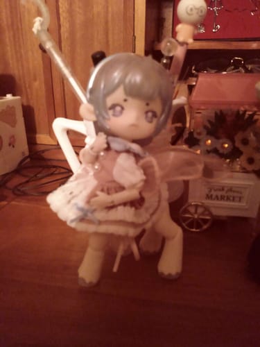 Customer photo review of Antu Dreamlike Tea Party Daydream Limited Action Figure BJD Blind Box
