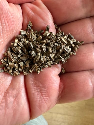 Customer photo review of Distelzaad kaardebol 100 gram