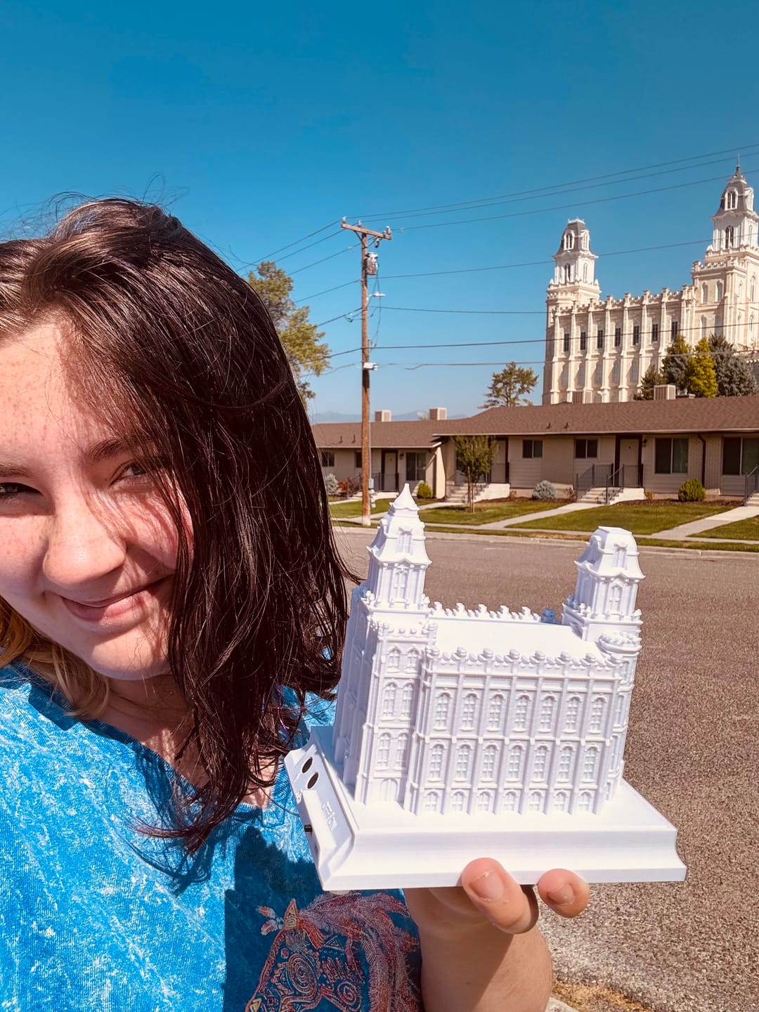 Customer photo review of Temple Music Light | Choose Any Temple | 200+ Temples to Choose From