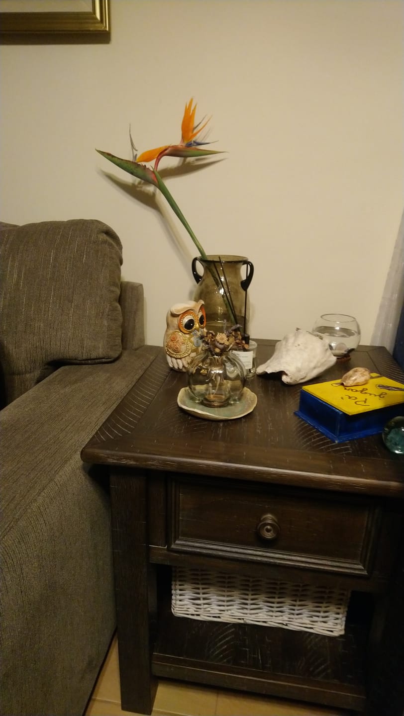 Customer photo review of Grapefruit - Recarga Difusor de Varillas | Difusor Ambiental Para el Hogar y la Oficina | Difusor de Aromas y Ambientadores - 300 ml