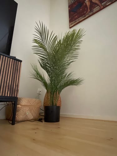 Customer photo review of Kunstpalm 120cm