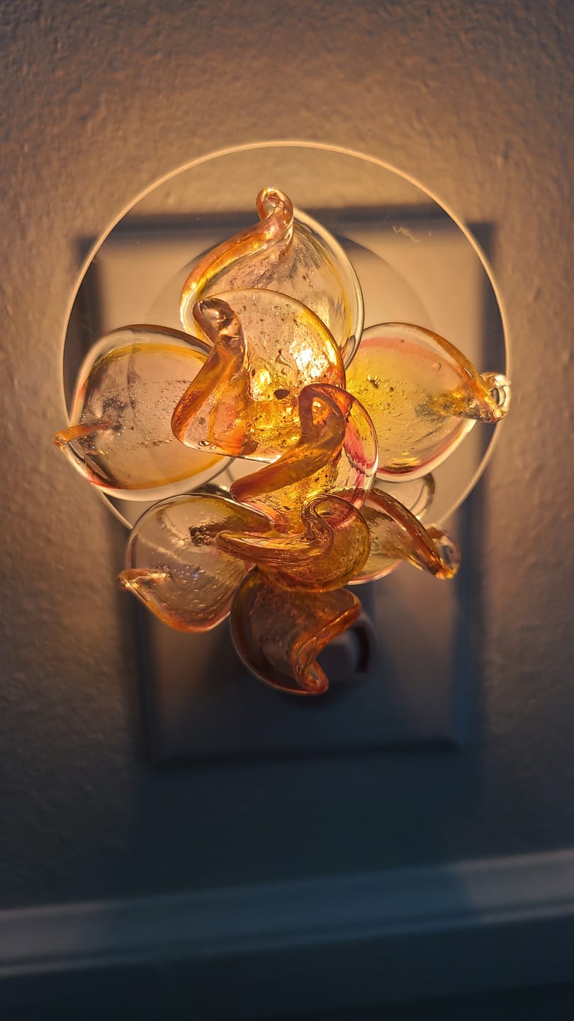 Customer photo review of Memorial Nightlight Flower with Cremation Ash