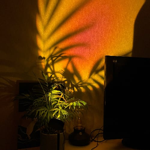 Customer photo review of Sunset Projection Lamp