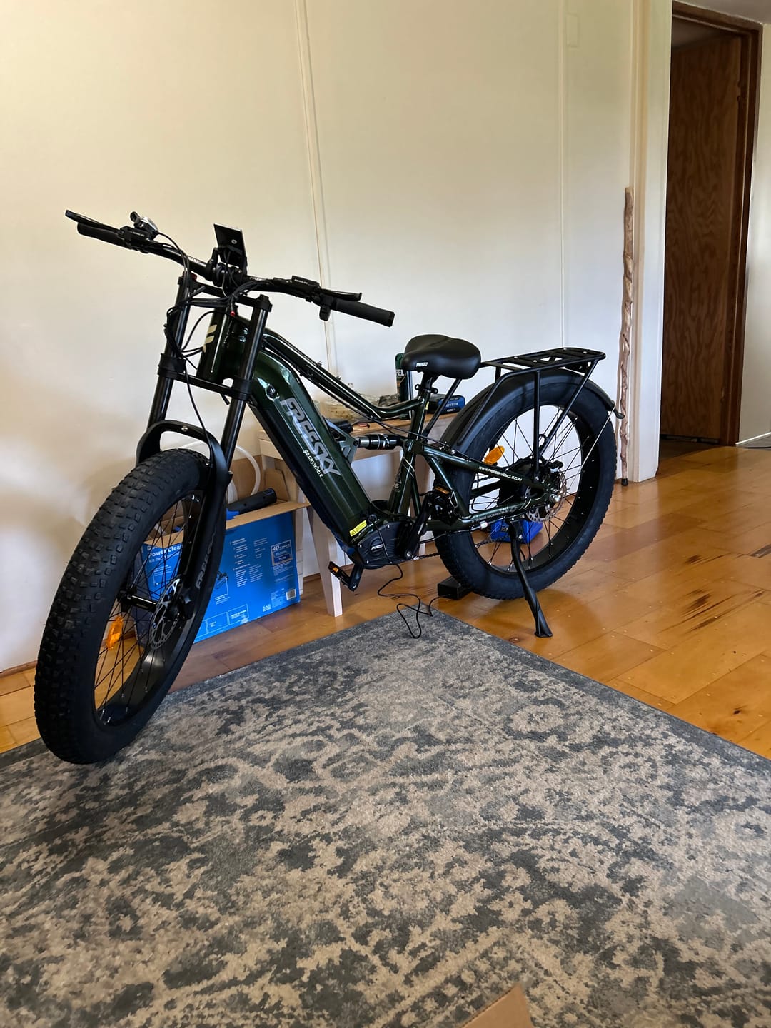 Customer photo review of Swift Horse Pro X-6E
