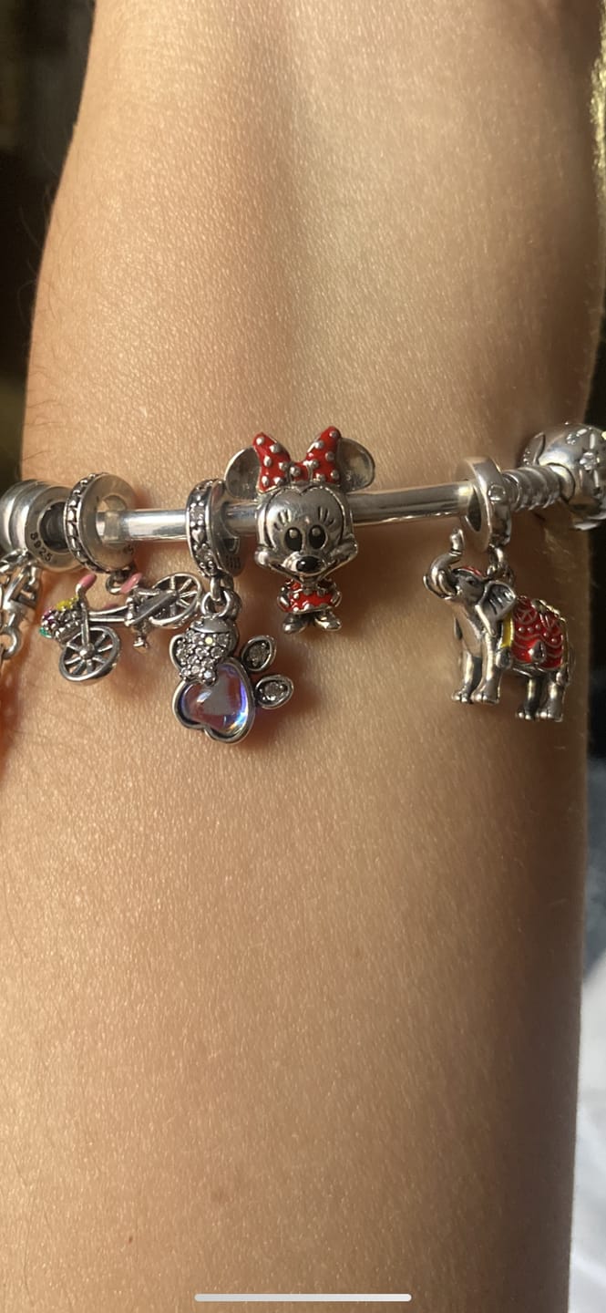 Customer photo review of Charm Bicicleta