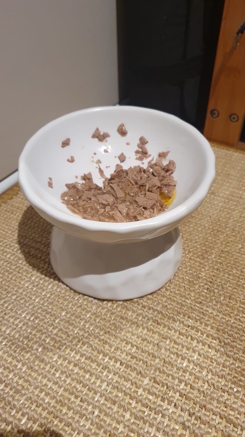 Customer photo review of Tilting Ceramic Cat Bowls With Uneven Texture