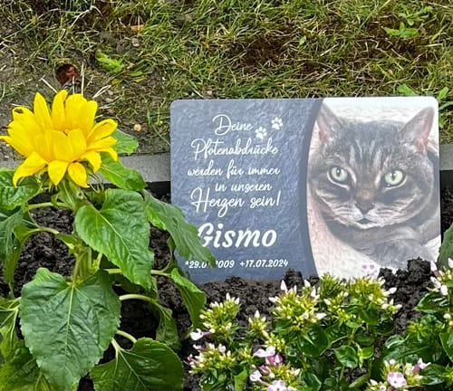 Customer photo review of Katzen Gedenktafel mit Foto & Spruch (UV- & Wetterfest)