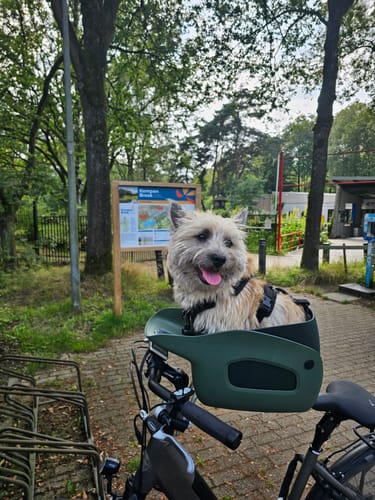Customer photo review of Kvisp Dog Bike Carrier