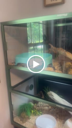 Customer video review of 85 Gallon Reptile Enclosures 48x24x18_Royal Purple