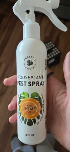 Customer photo review of Houseplant Pest Spray
