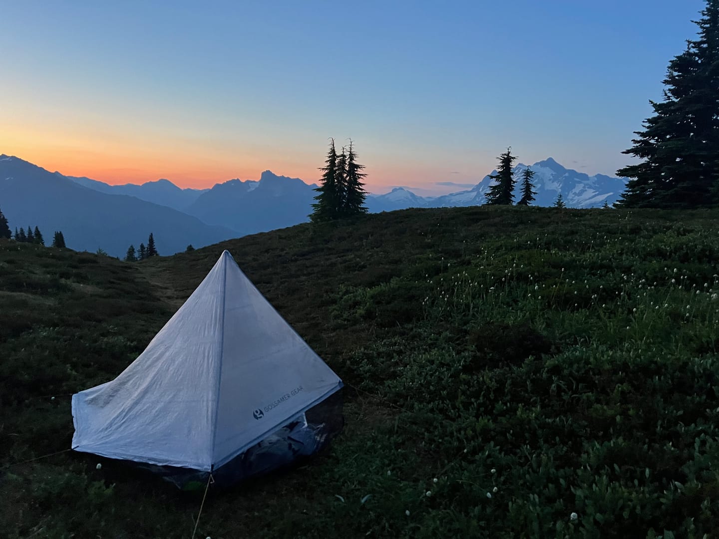Customer photo review of The DCF Whisper