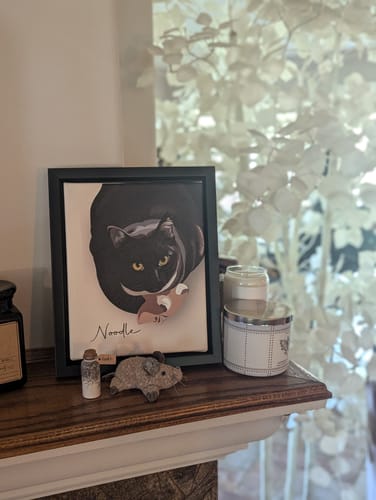Customer photo review of Pet Art Canvas Wrap