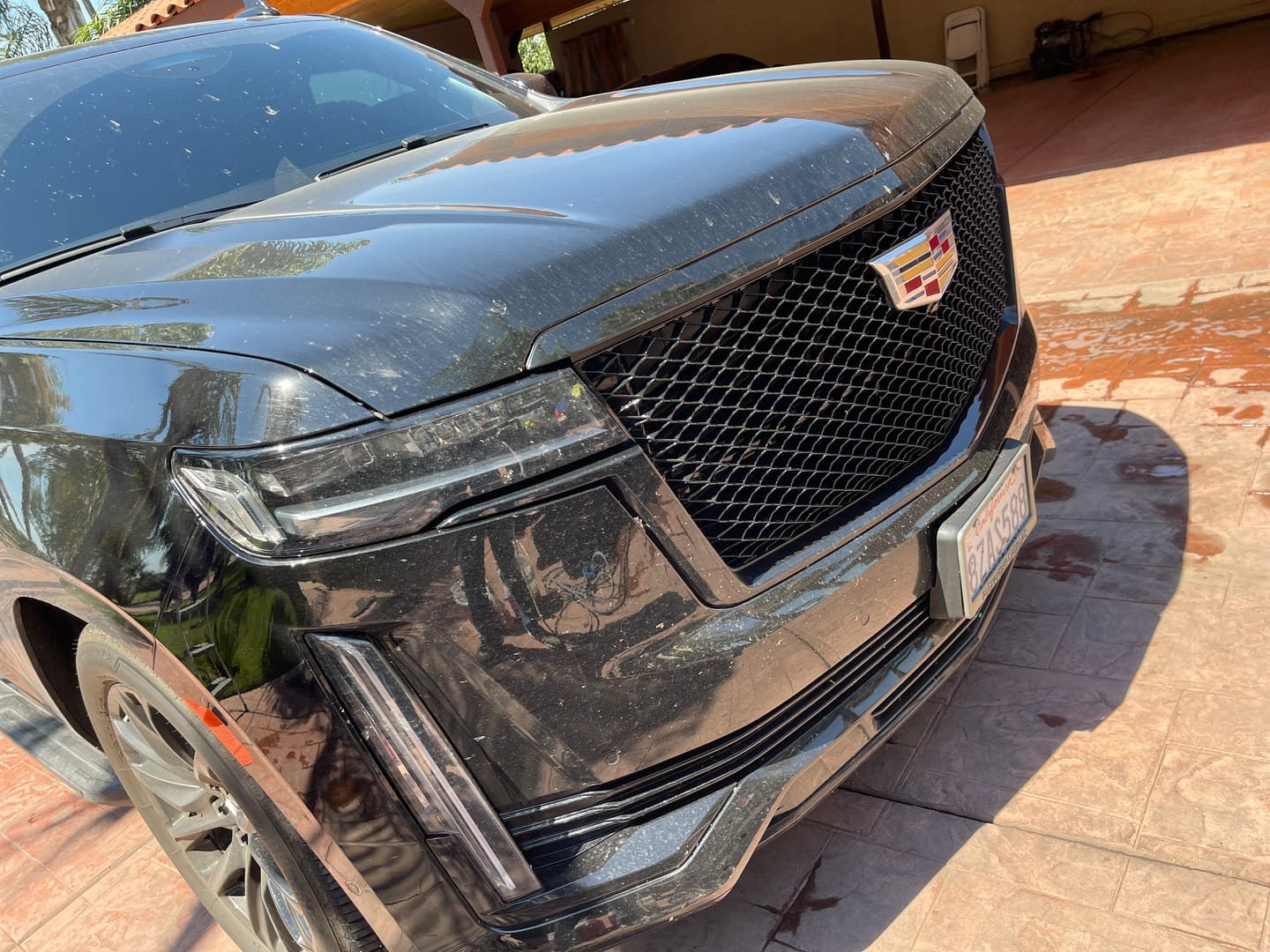 Customer photo review of Bug Off - Gallon