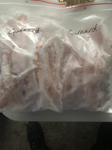 Customer photo review of 5kg Gurnard Fillets (Skinned and Boned) Frozen