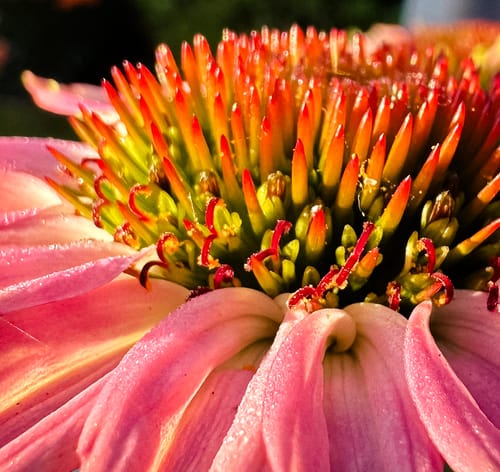 Customer photo review of The 2024 Complete Photoshop and Lightroom Bundle Only $37 With Code: SAVE50