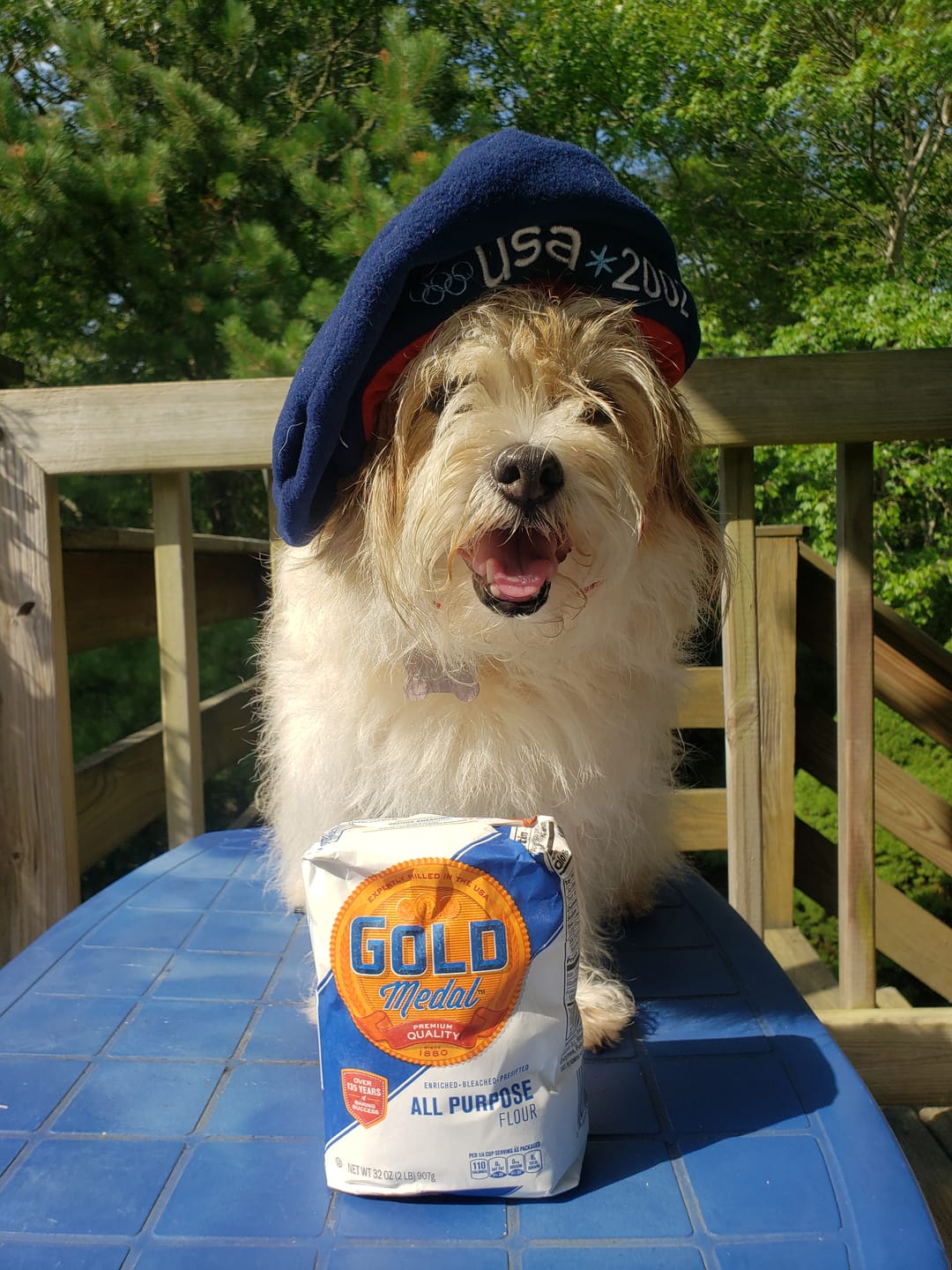Customer photo review of Crunchy Jerky Dog Treats- Snappin' Salmon