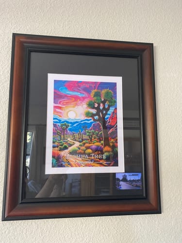 Customer photo review of Joshua Tree National Park Commemorative Poster: A Pop Art Tribute