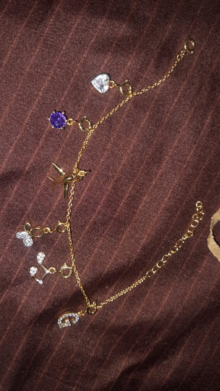 Customer photo review of Charms Bracelet