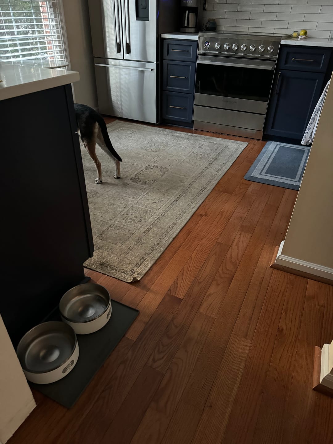 Customer photo review of Custom Engraved Dog Bowl