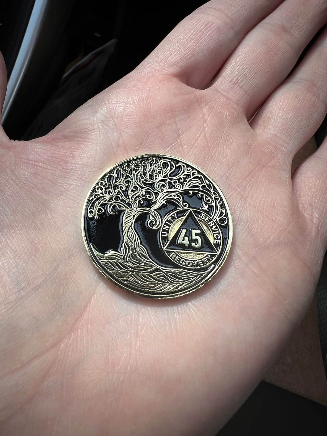 Customer photo review of 45 Year Sobriety Mint Twisted Tree of Life Gold Plated AA Recovery Medallion - Forty-Five Year Chip/Coin - Black