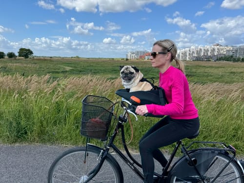 Customer photo review of Kvisp Dog Bike Carrier