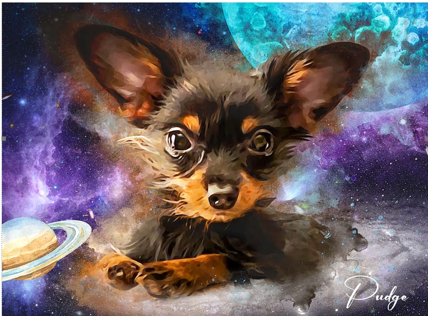Customer photo review of Watercolor Pet Art - Pet Galaxy (PG)