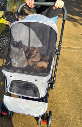 Customer photo review of PaWz Pet Dog Stroller Pram 4 Wheels