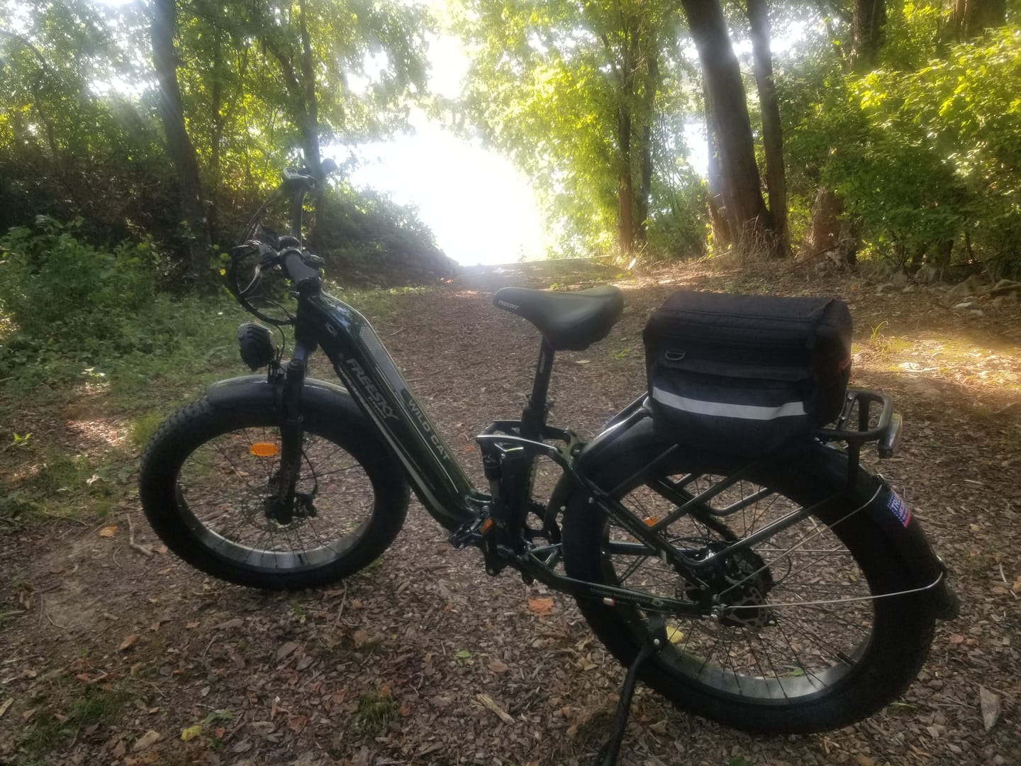 Customer photo review of Wild Cat Pro A-340