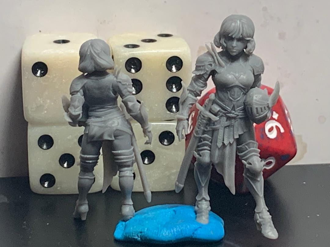 Customer photo review of Svanielle, Captain of the Guard