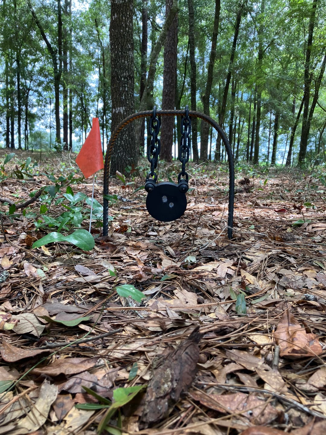 Customer photo review of FREE 4"x5/8" GONG