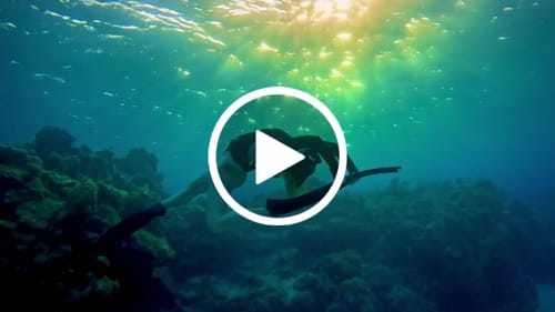 Customer video review of Luna Long Sleeve Swimwear