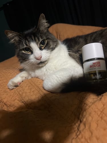 Customer photo review of Noir Rouge