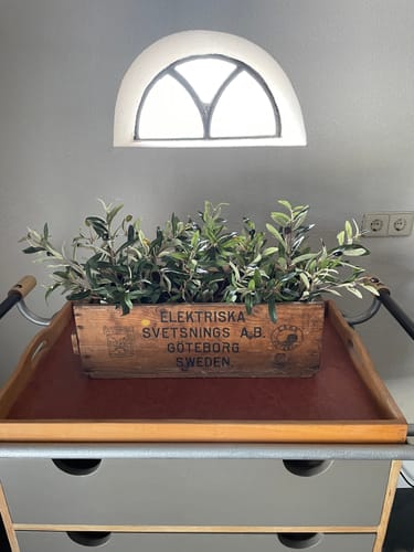 Customer photo review of Olijf Kunstplant 35cm