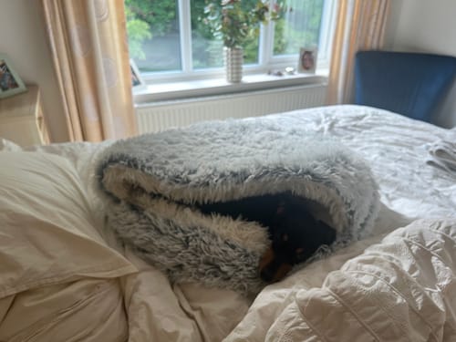 Customer photo review of Burrow Buddy™ - Pet Bed