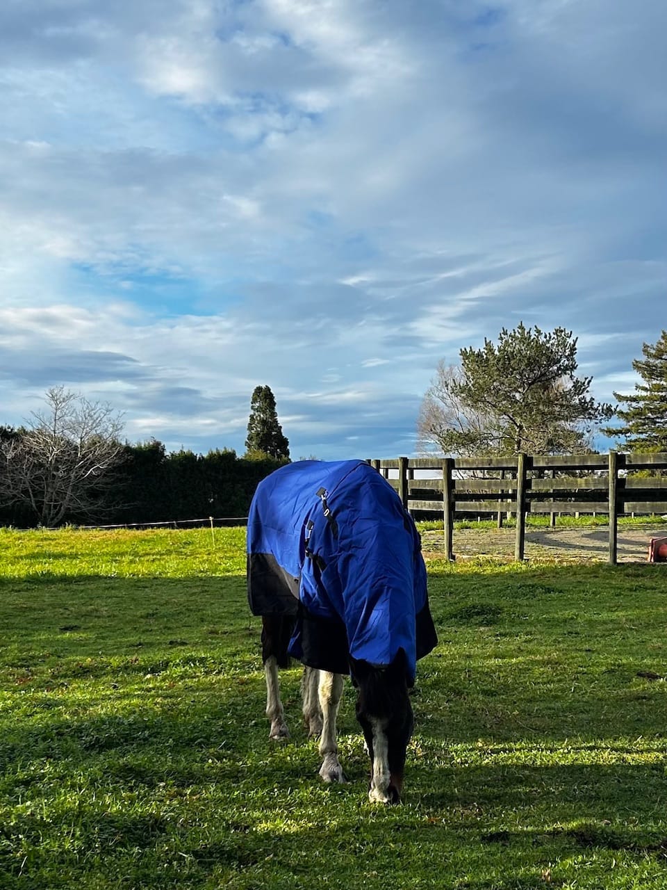 Customer photo review of Duke 1200d Detacha-neck