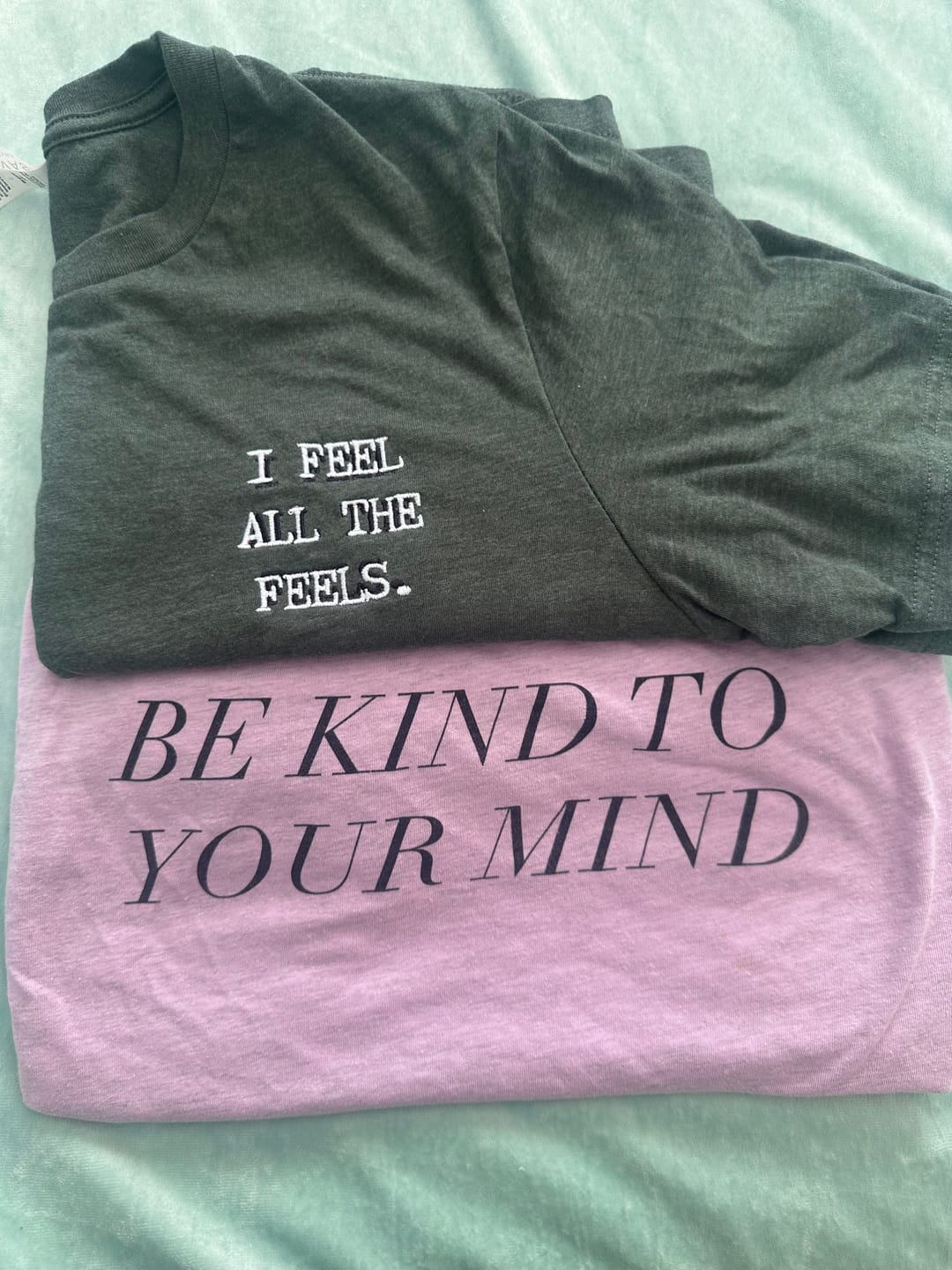 Customer photo review of I Feel All The Feels Embroidered T-Shirt