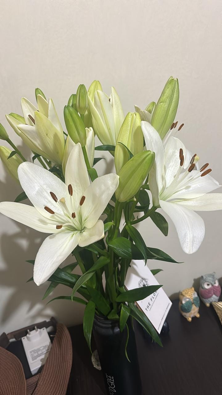 Customer photo review of Asiatic Lily