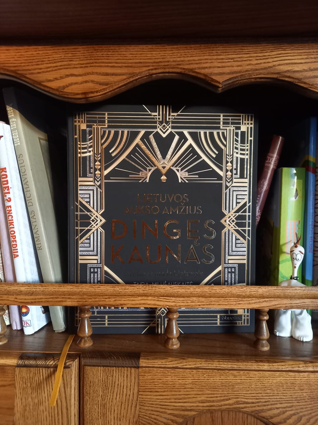 Customer photo review of Lietuvos aukso amžius. Dingęs Kaunas: art deco mada Lietuvoje – šimtai unikalių nuotraukų ir istorijų!