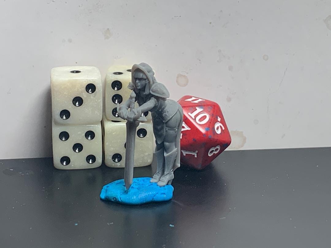 Customer photo review of Silencia Female Paladin