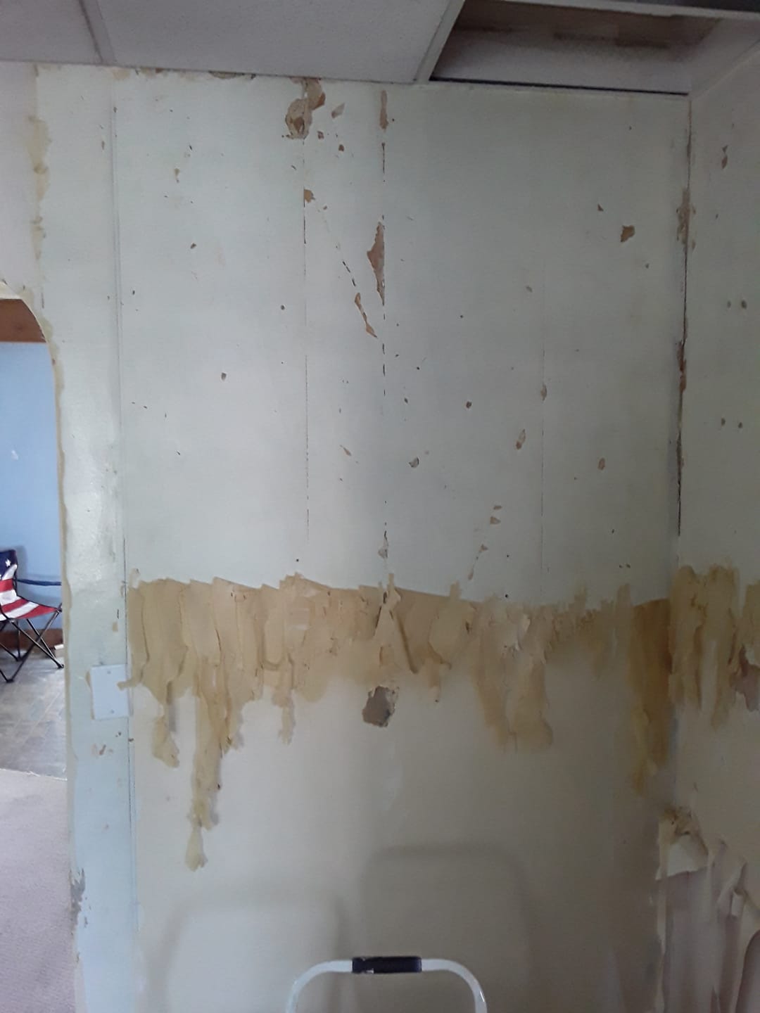 Customer photo review of WP CHOMP! World's Best Wallpaper Stripper, Gallon