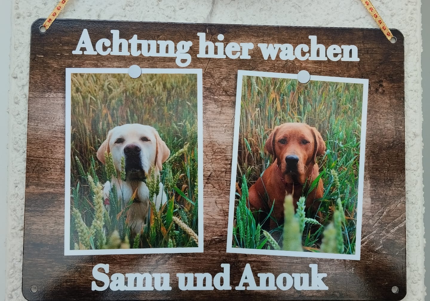 Customer photo review of Hunde-Türschild personalisiert mit Foto & Text (UV- und wetterfest)