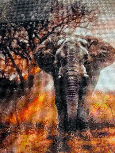 Customer photo review of 5D Diamond Painting Afrikanischer Elefant