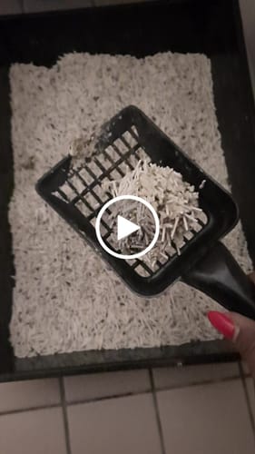 Customer video review of Michu Premium Mixed Tofu Cat Litter Pro Gen2 6L- Superb in Flushable, Eco-Friendly & Odour-Control