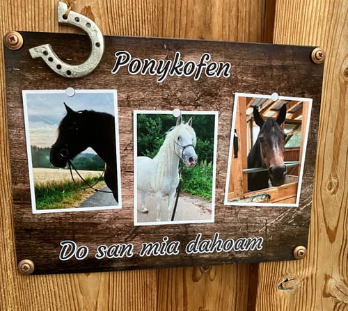 Customer photo review of Hunde Gedenktafel mit Foto & Spruch (UV- & Wetterfest)