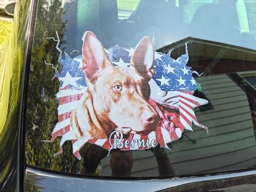 Customer photo review of Personalized Pet lover Flag pattern crack Decal
