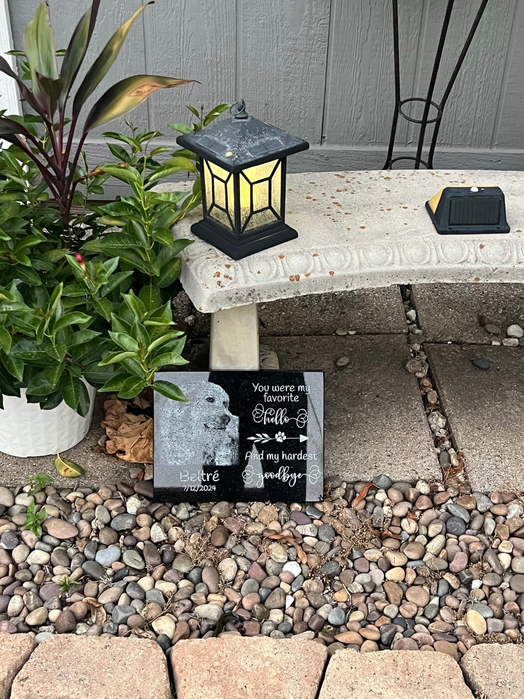 Customer photo review of Outdoor Personalized Dog Memorial Plaque You Were My Favorite Hello and My Hardest Goodbye Personalized Outdoor Plaque