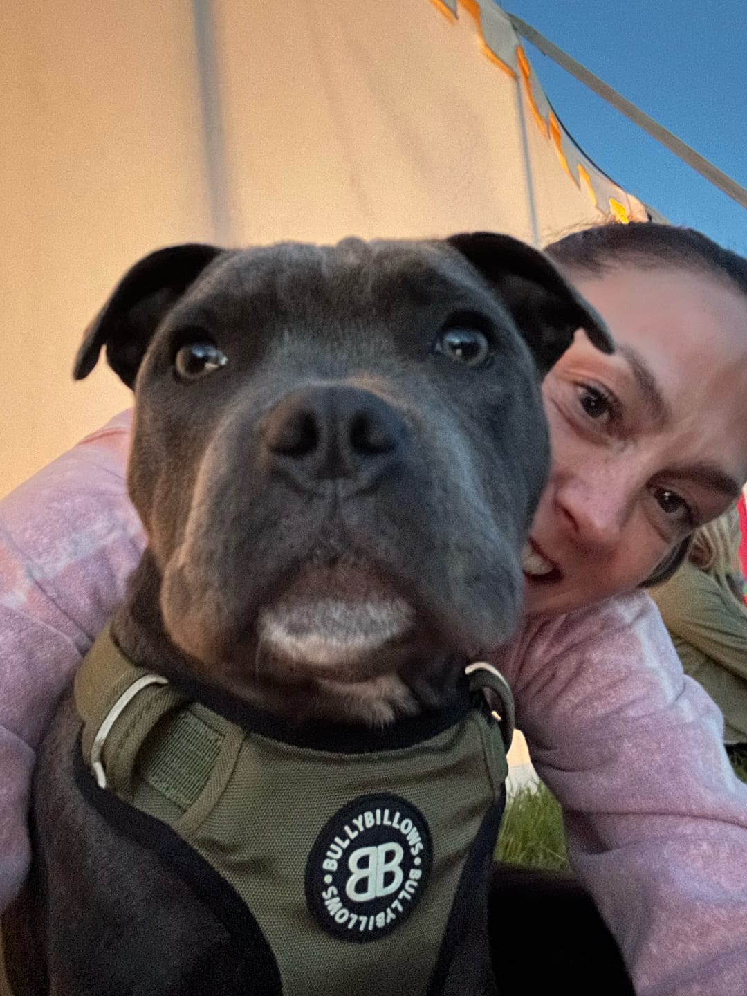 Customer photo review of Premium Comfort Harness | Non Restrictive & Adjustable - Khaki